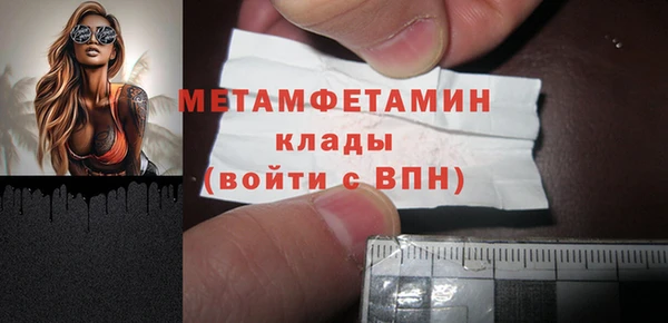 шишки Заволжье