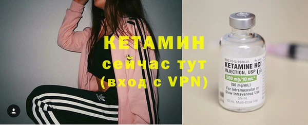 шишки Заволжье